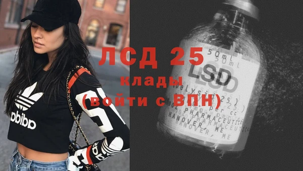 спиды Арсеньев