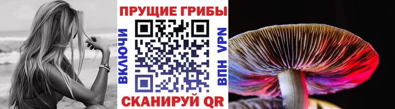 Псилоцибиновые грибы Psilocybine cubensis  даркнет сайт  маркетплейс наркотические препараты  Балашов 