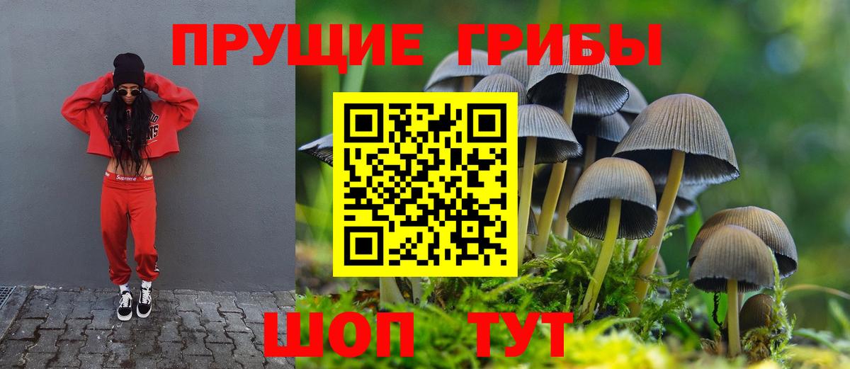 Галлюциногенные грибы прущие грибы Балашов