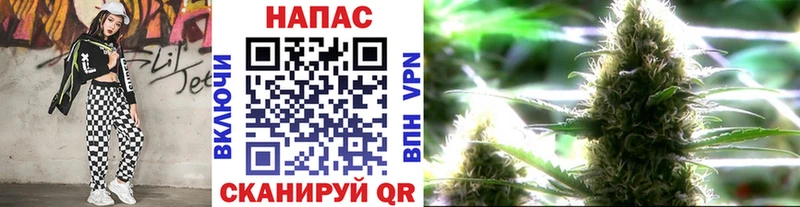 где купить наркотик  Балашов  Шишки марихуана ГИДРОПОН 